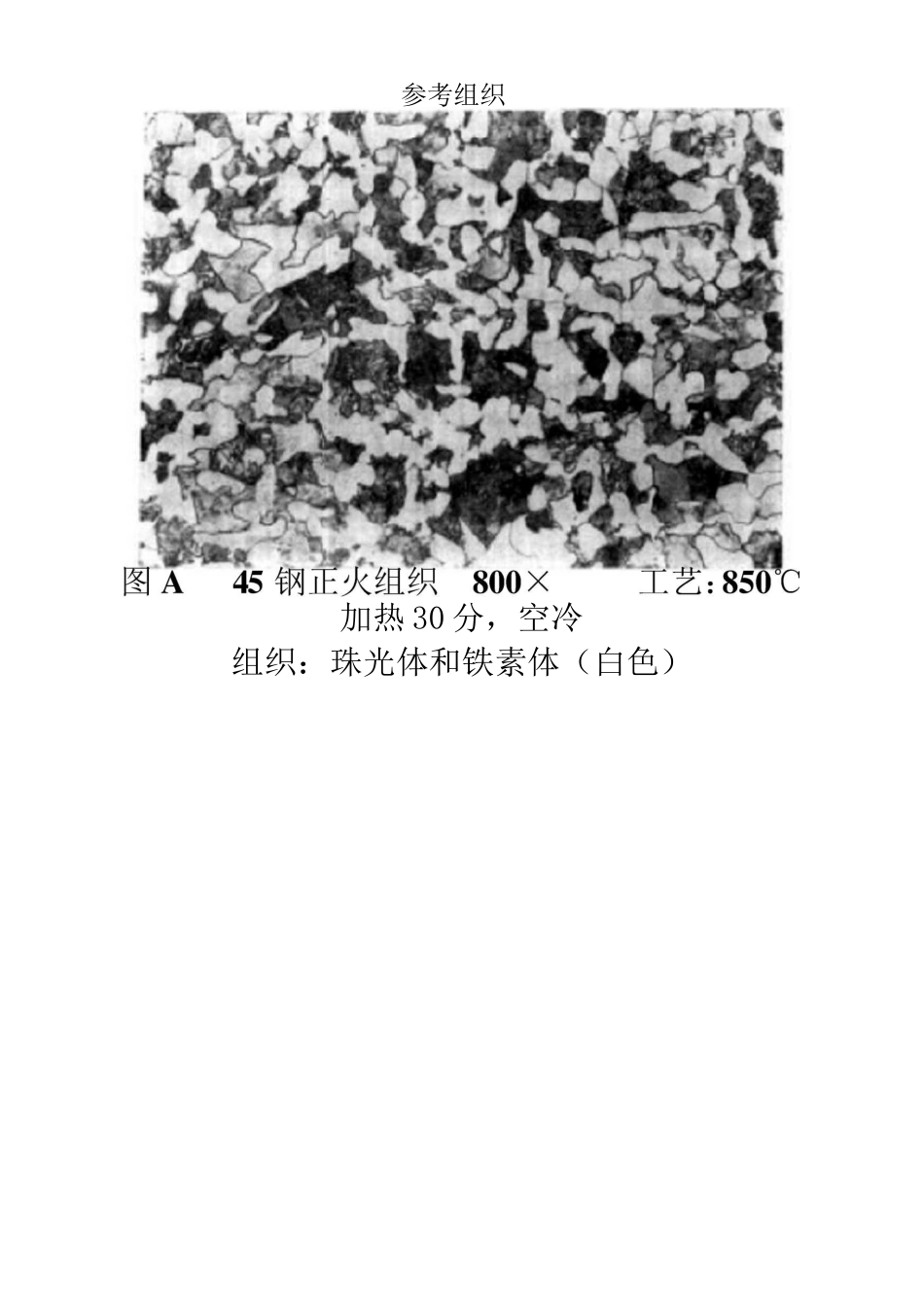 45钢金相组织参考_第2页