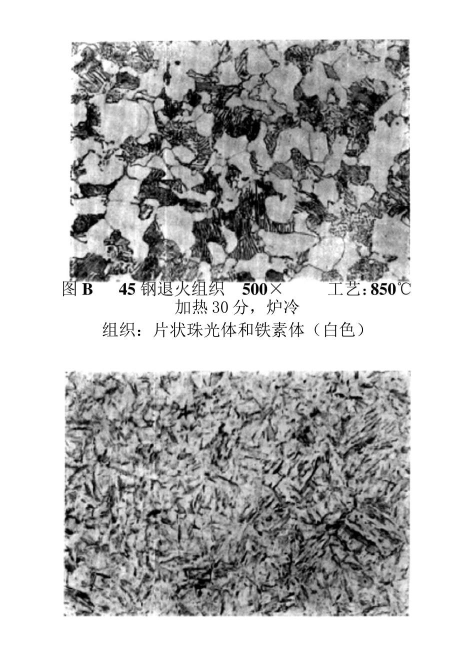 45钢金相组织参考_第3页