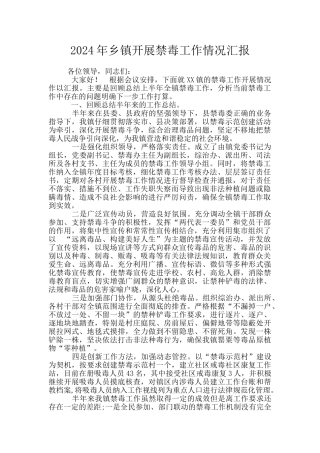 2024年乡镇开展禁毒工作情况汇报