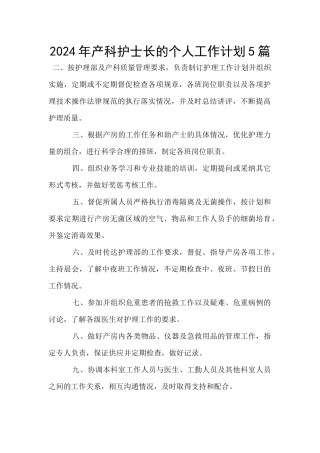 2024年产科护士长的个人工作计划5篇