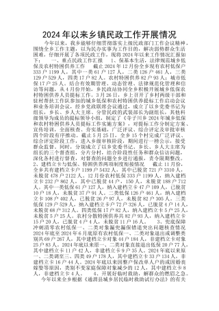 2024年以来乡镇民政工作开展情况