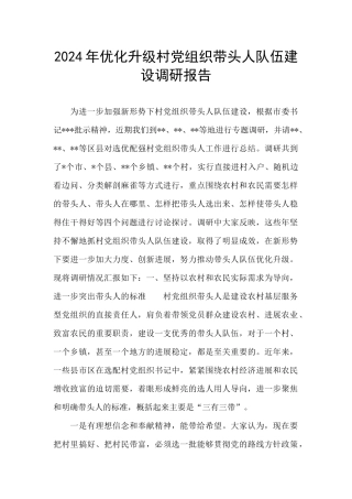 2024年优化升级村党组织带头人队伍建设调研报告