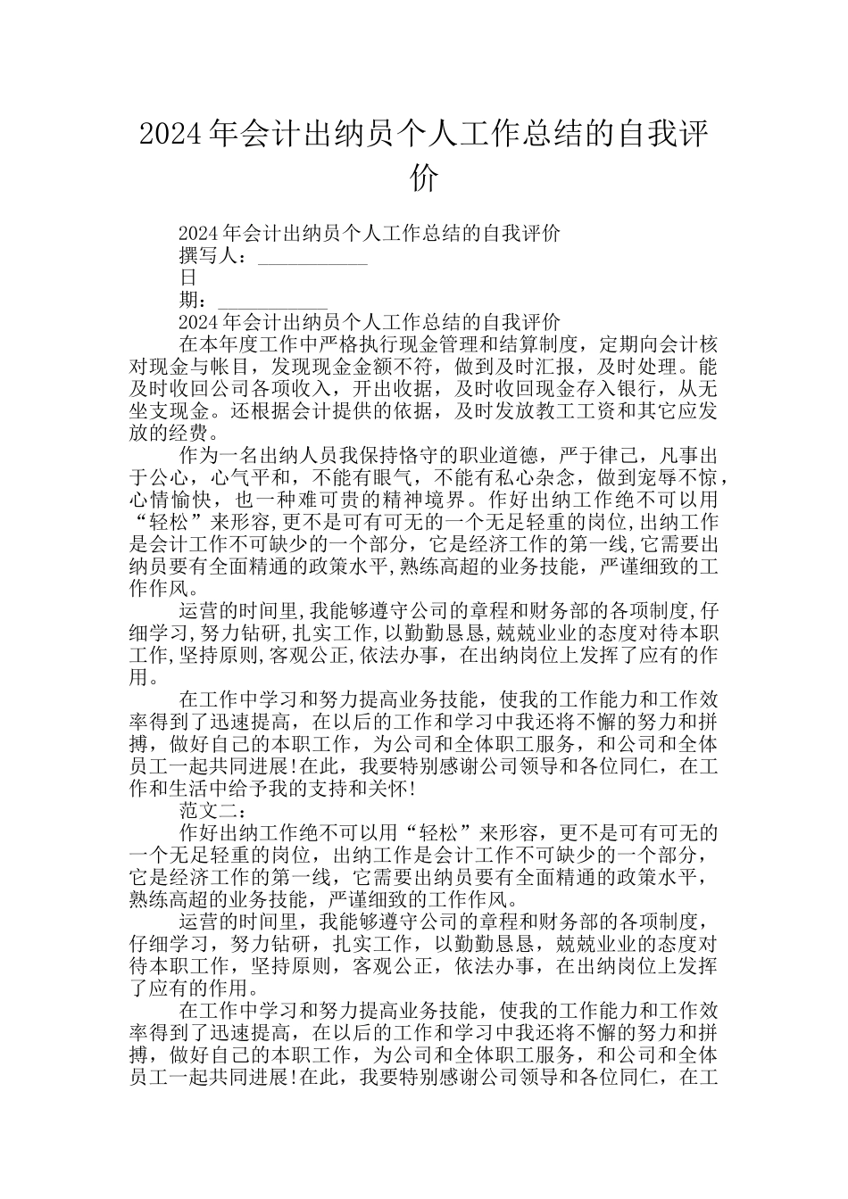 2024年会计出纳员个人工作总结的自我评价_第1页