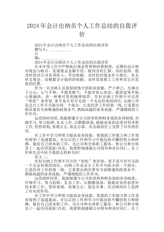 2024年会计出纳员个人工作总结的自我评价