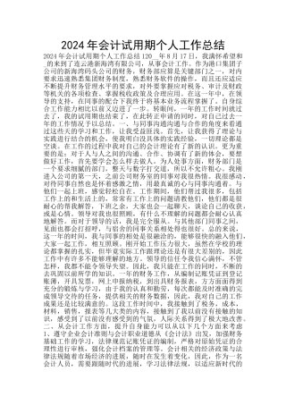 2024年会计试用期个人工作总结
