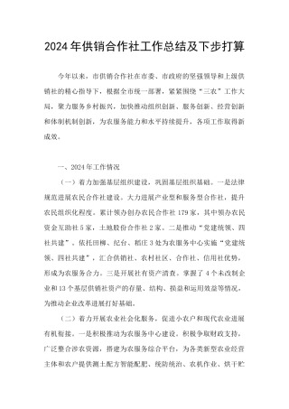 2024年供销合作社工作总结及下步打算