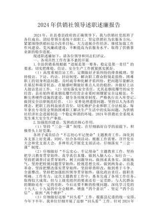 2024年供销社领导述职述廉报告