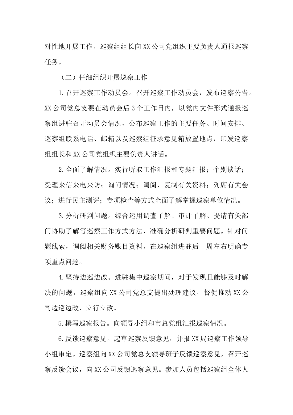 2024年党总支班子巡查工作方案_第2页