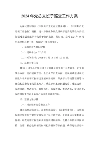 2024年党总支班子巡查工作方案