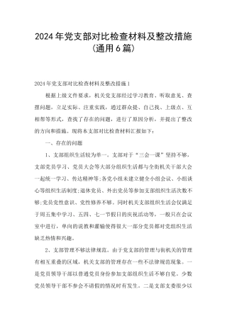 2024年党支部对照检查材料及整改措施