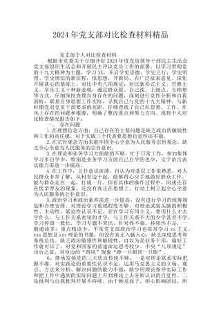 2024年党支部对照检查材料精品