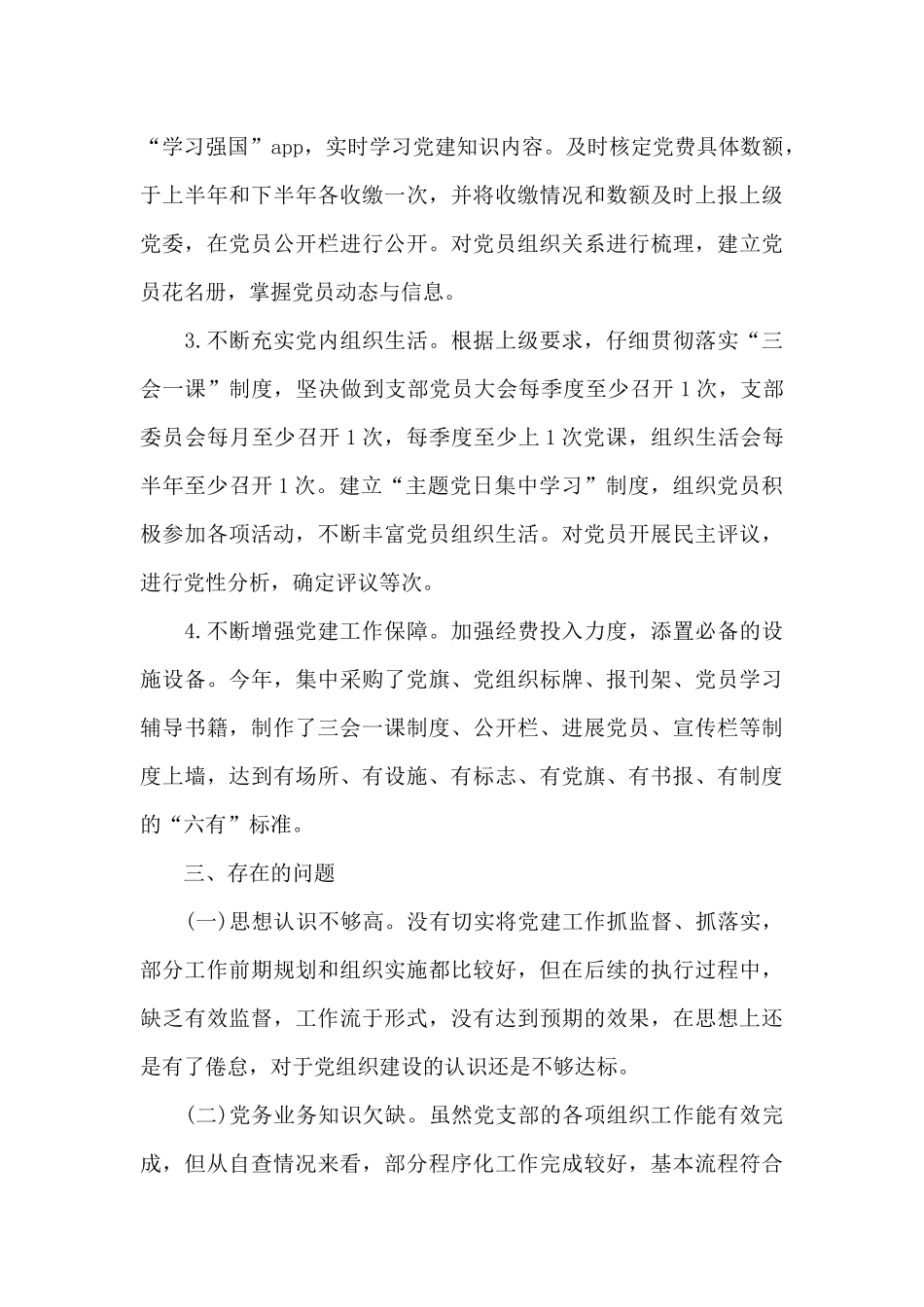 2024年党支部标准化建设工作自查报告五篇_第3页