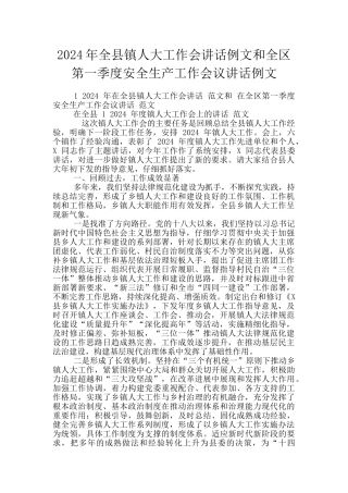 2024年全县镇人大工作会讲话例文和全区第一季度安全生产工作会议讲话例文