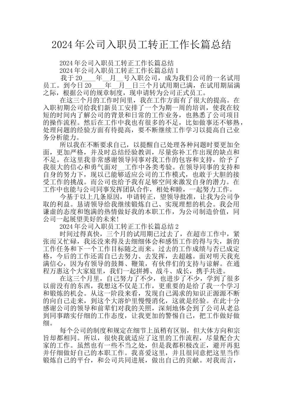 2024年公司入职员工转正工作长篇总结_第1页