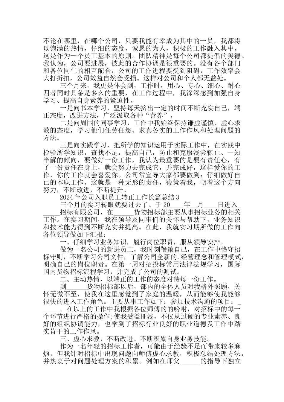 2024年公司入职员工转正工作长篇总结_第2页