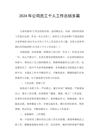 2024年公司员工个人工作总结多篇