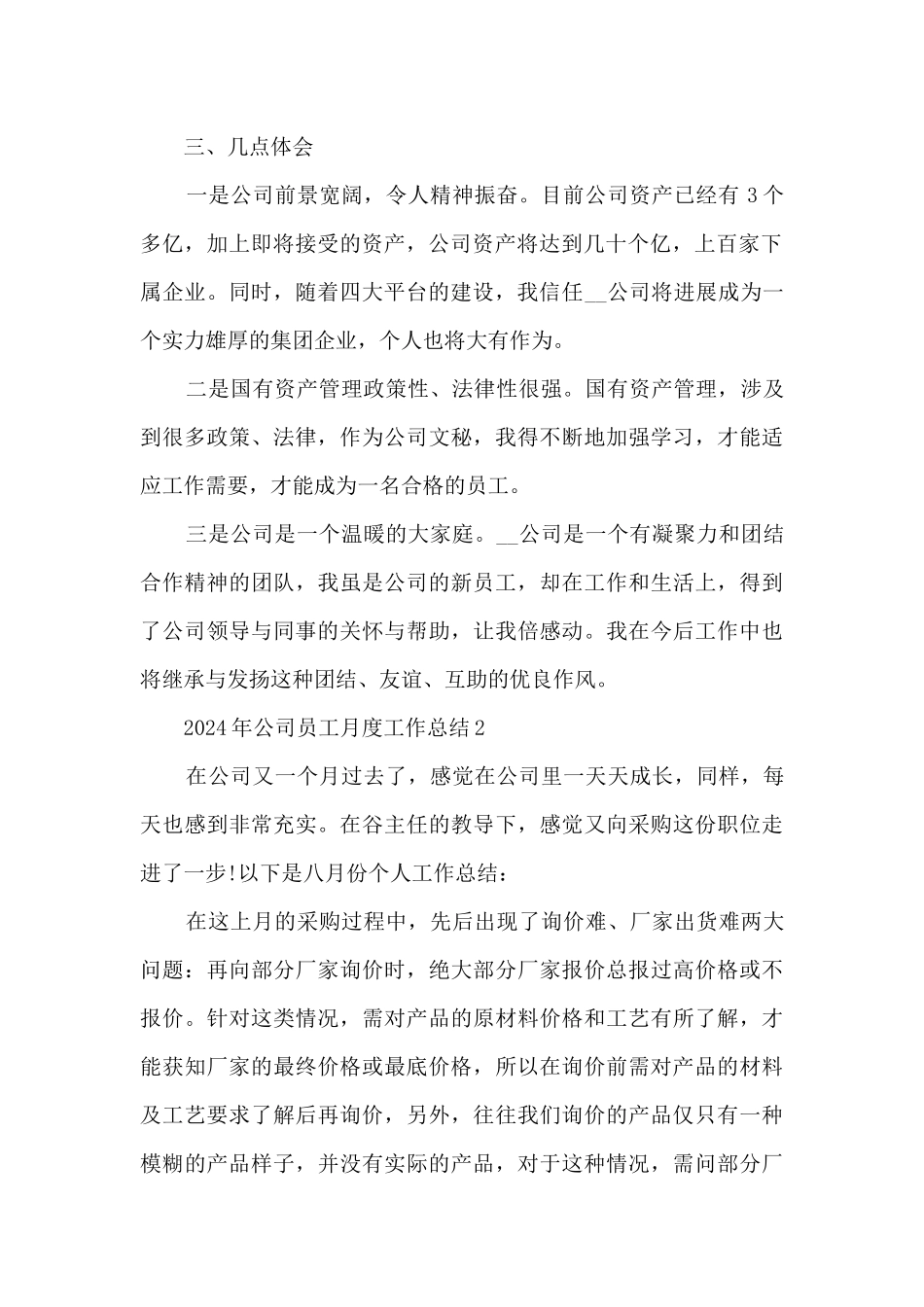 2024年公司员工月度工作总结_第2页