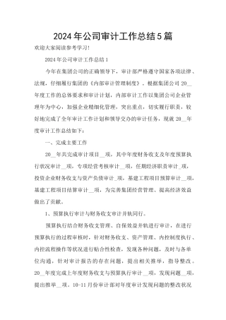 2024年公司审计工作总结5篇