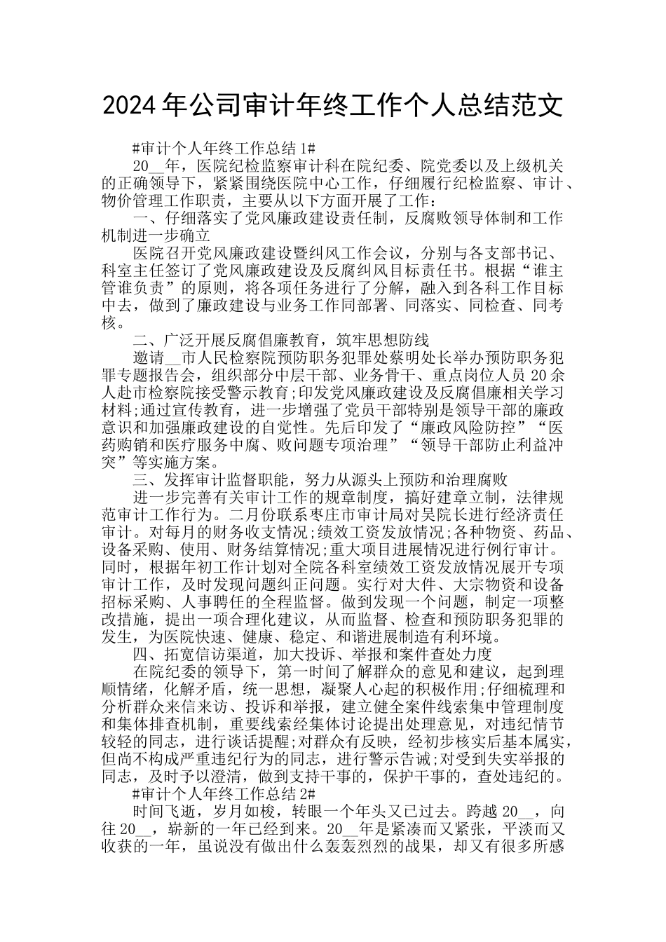 2024年公司审计年终工作个人总结范文_第1页