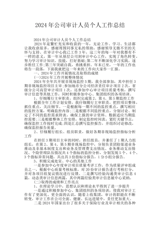 2024年公司审计人员个人工作总结