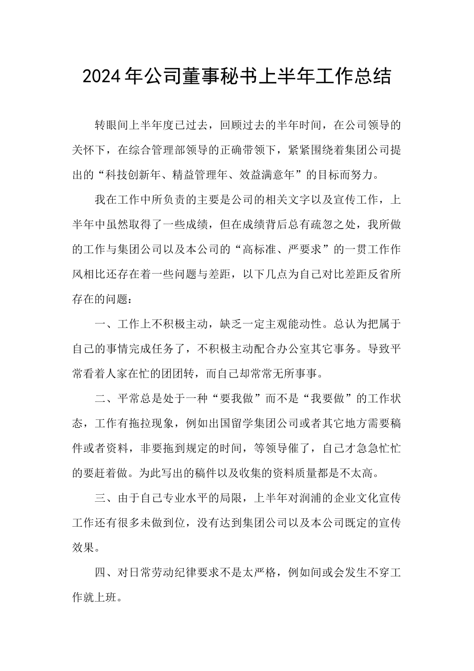 2024年公司董事秘书上半年工作总结_第1页