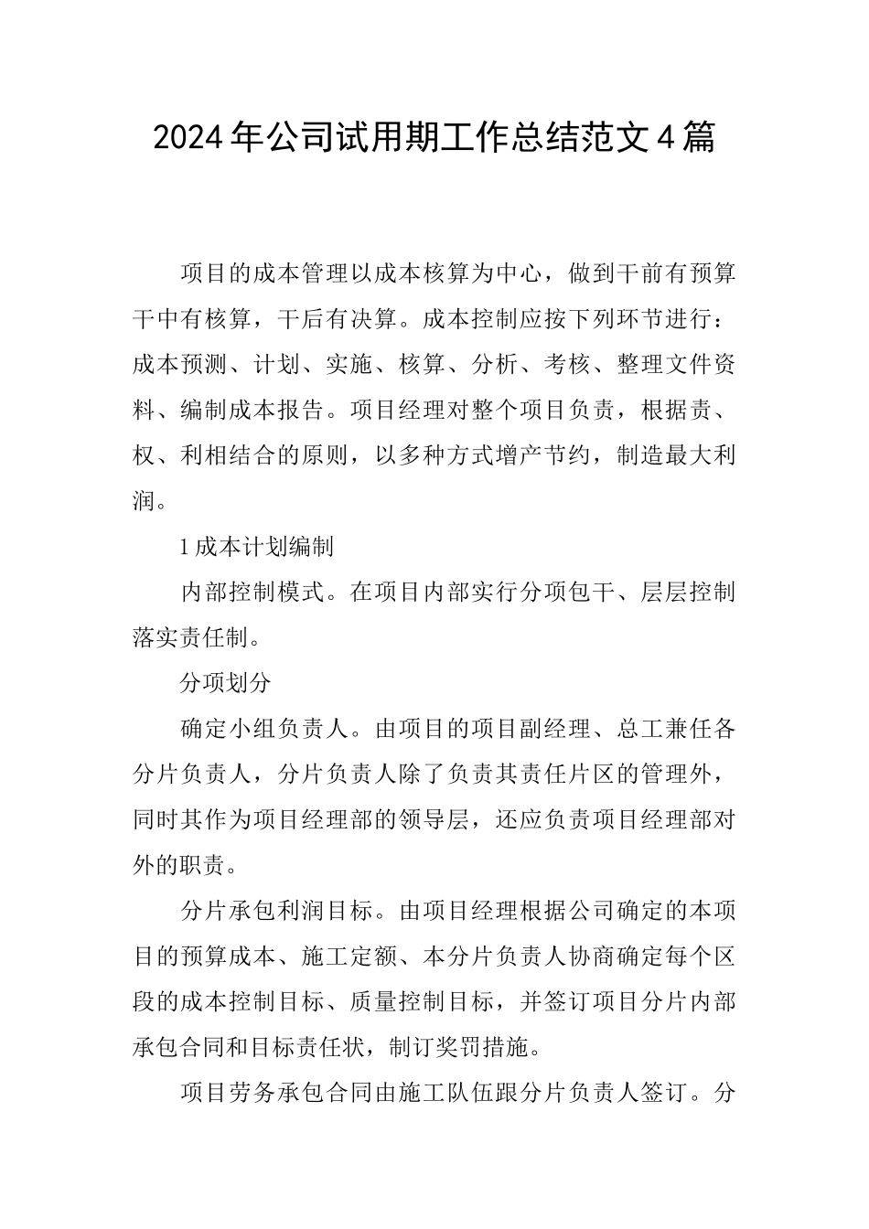 2024年公司试用期工作总结范文4篇_第1页