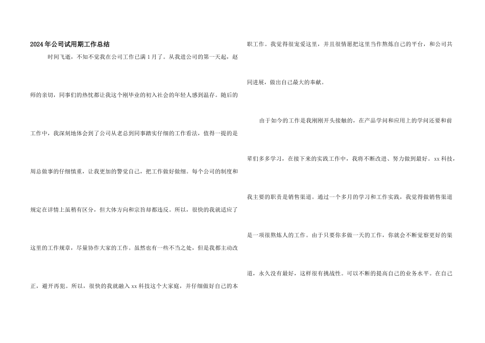 2024年公司试用期工作总结_第1页