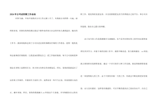 2024年公司试用期工作总结