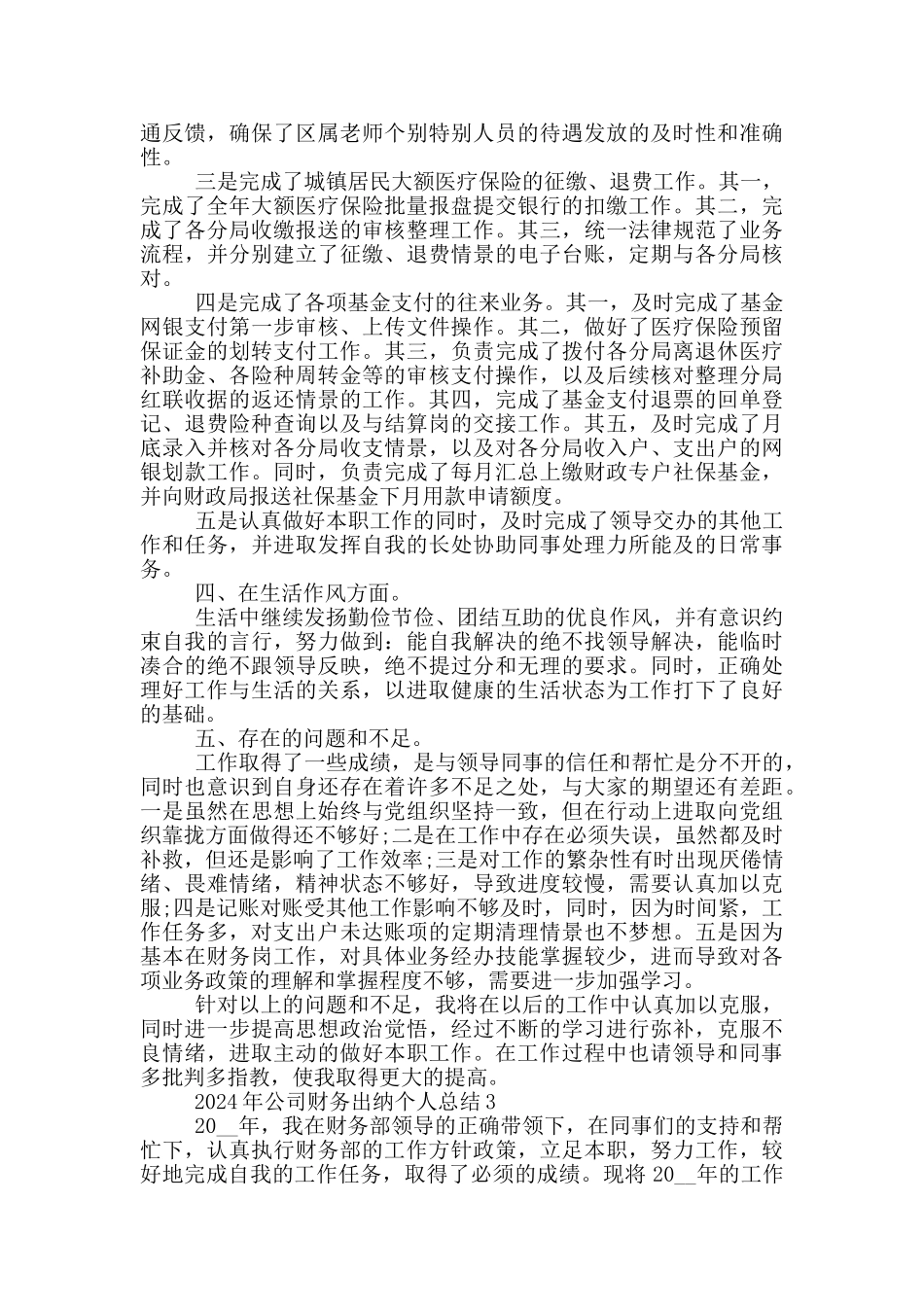 2024年公司财务出纳个人总结模板_第3页