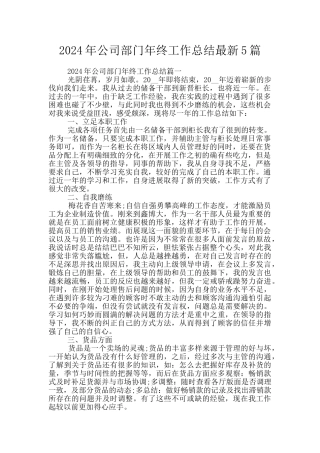 2024年公司部门年终工作总结最新5篇