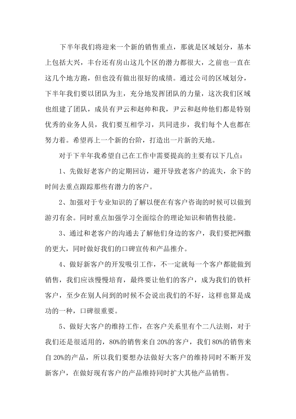 2024年公司销售员销售工作总结范文_第2页