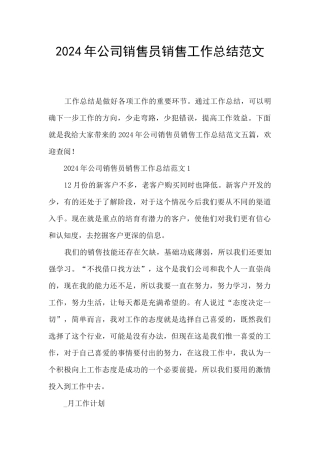 2024年公司销售员销售工作总结范文