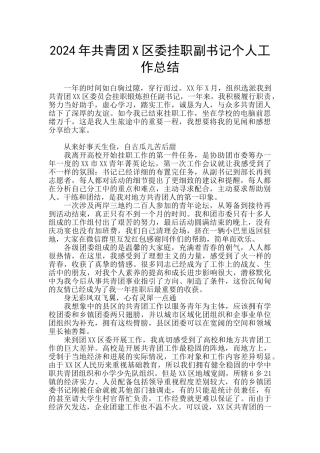 2024年共青团X区委挂职副书记个人工作总结