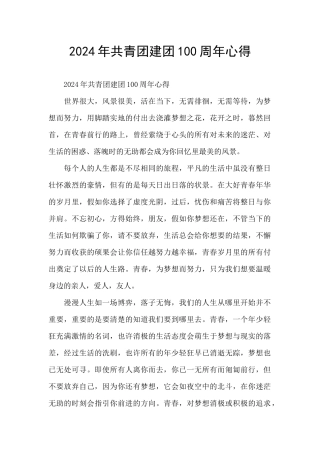 2024年共青团建团100周年心得