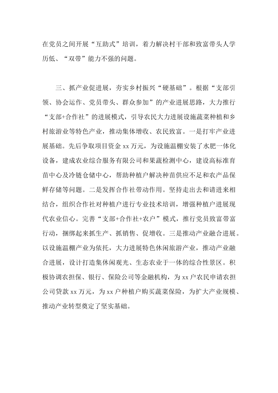 2024年关于村党支部实施乡村振兴战略交流发言材料范文_第3页