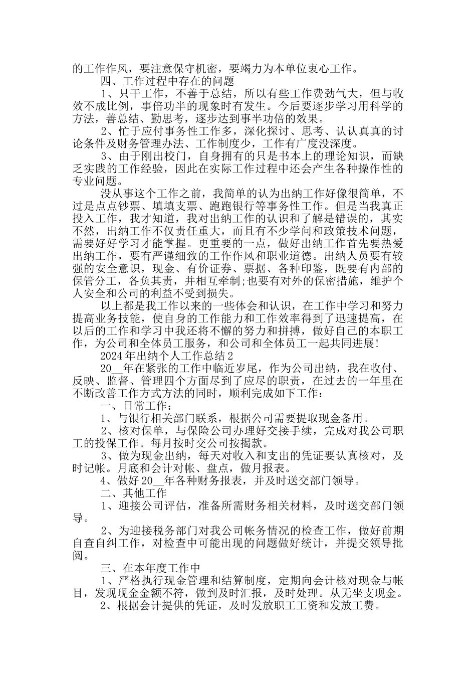 2024年出纳个人工作总结_第2页