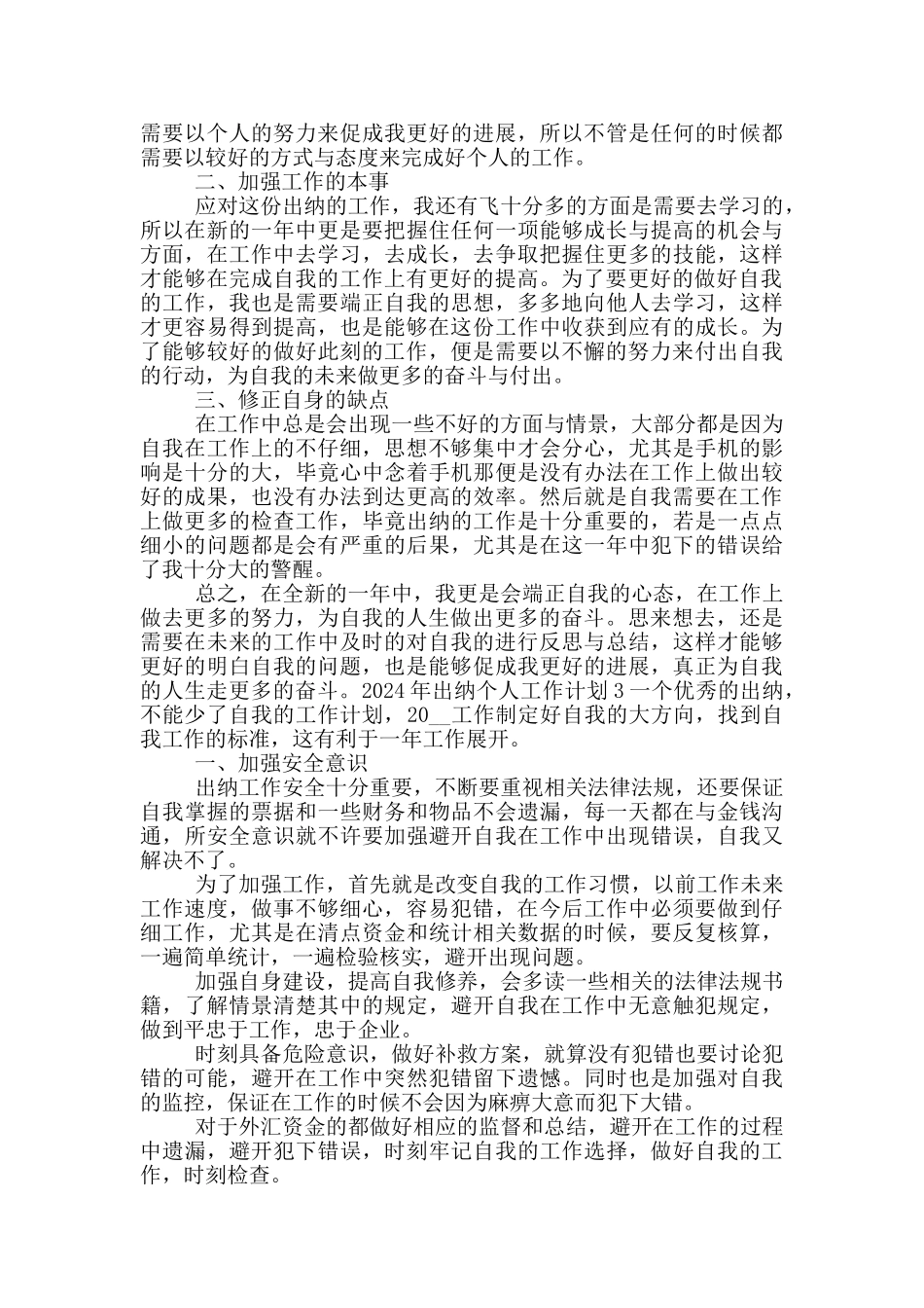 2024年出纳个人工作计划五篇_第2页