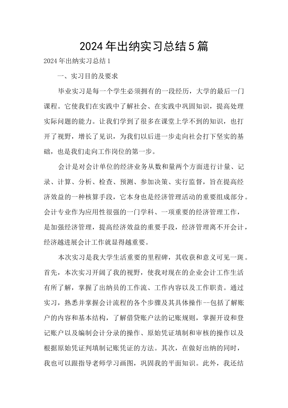 2024年出纳实习总结5篇_第1页
