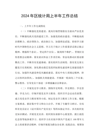 2024年区统计局上半年工作总结