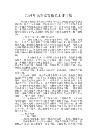 2024年医保监督稽查工作计划