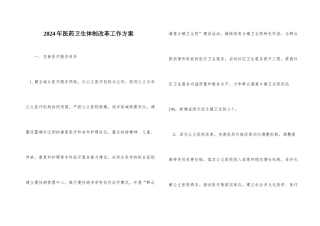 2024年医药卫生体制改革工作方案