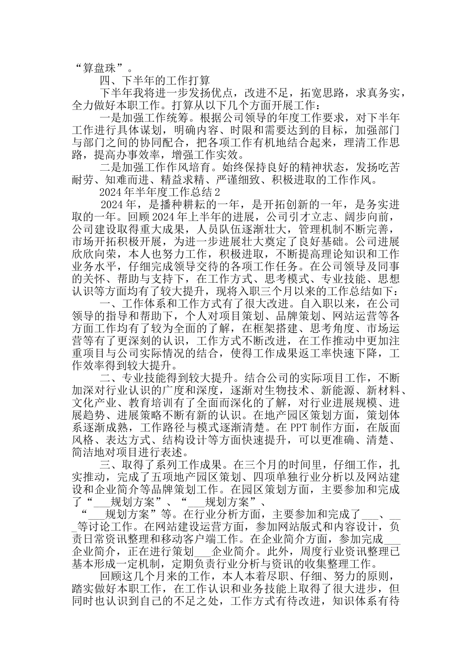 2024年半年度工作总结_第2页