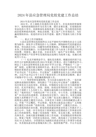 2024年县应急管理局党组党建工作总结