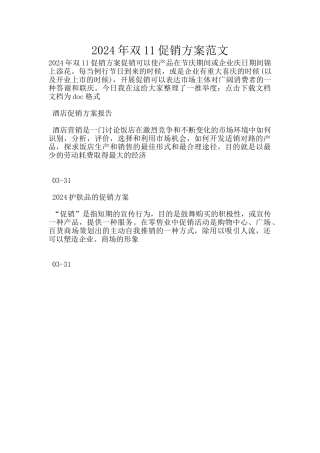 2024年双11促销方案范文