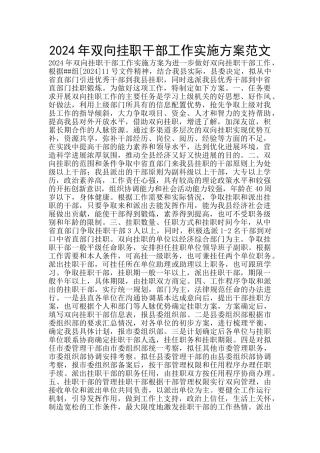 2024年双向挂职干部工作实施方案范文