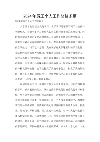 2024年员工个人工作总结多篇