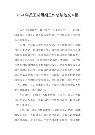 2024年员工试用期工作总结范文4篇