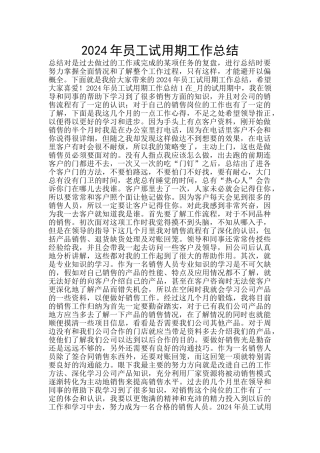 2024年员工试用期工作总结