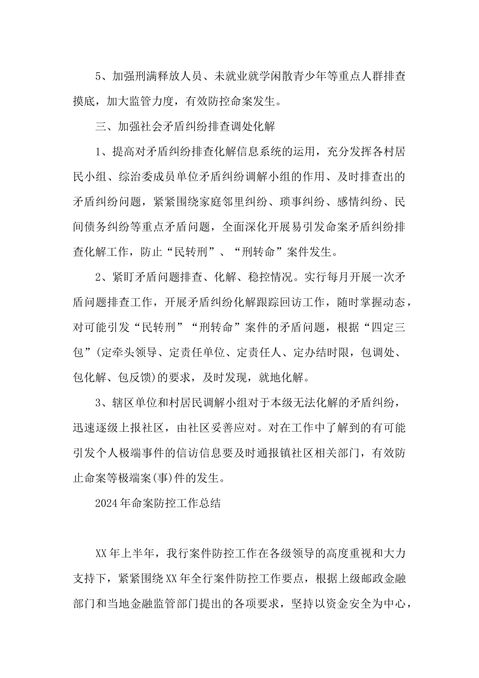 2024年命案防控工作总结_第2页