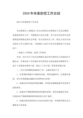 2024年命案防控工作总结